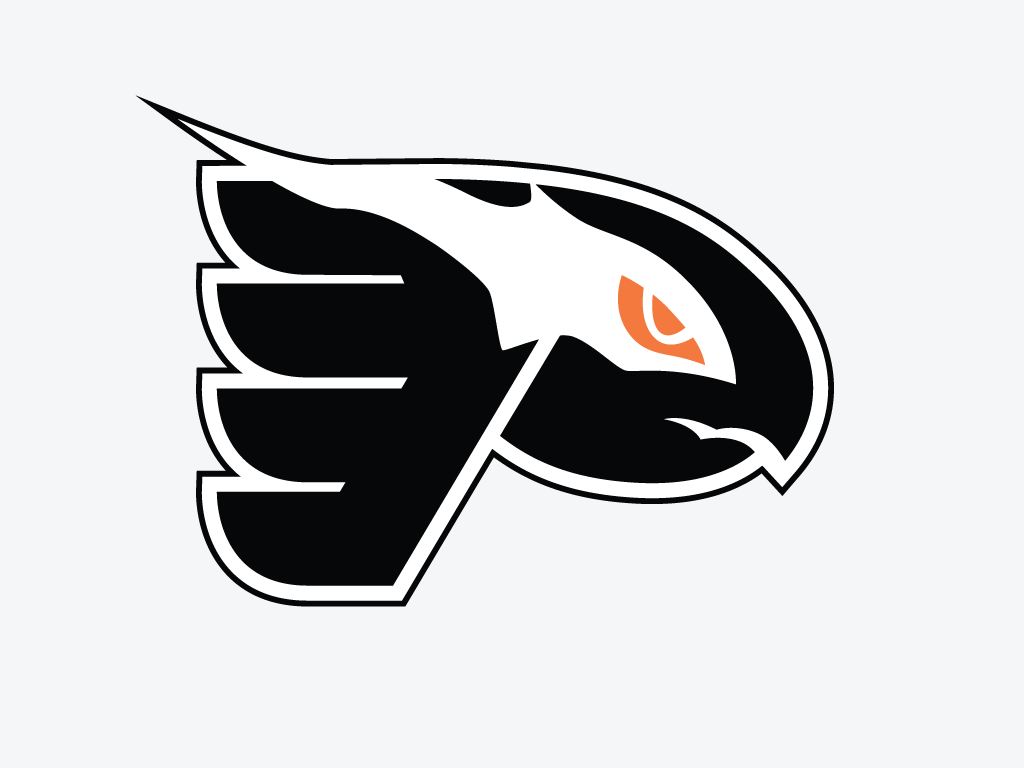 Philadelphia Flying Shadow logo iron on heat transfer